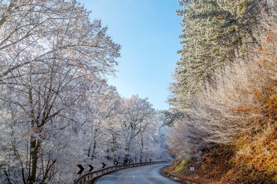 National Parks In Serbia_Frozen Forest at Fruska Gora Mountain near Novi Sad