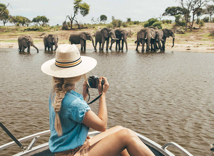 The Finest Time to Go on Safari in Africa by Month • The Blonde Overseas